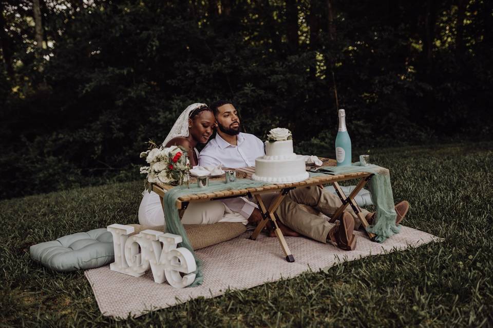 Elopement Picnic