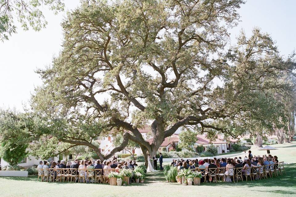 Ojai Valley Inn Wishing Tree