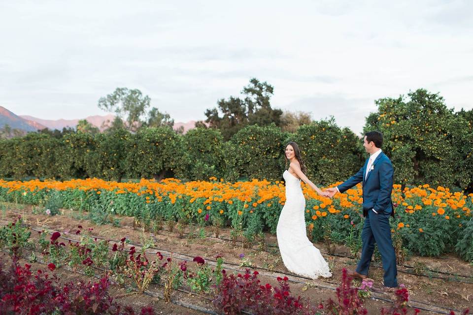 Ojai Wedding