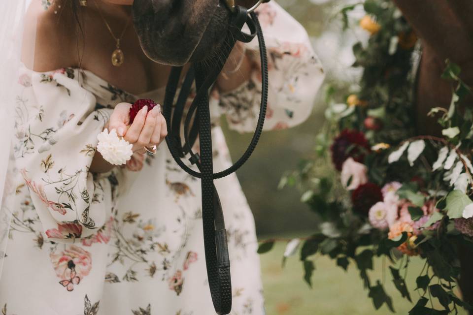 Nessa K Photography