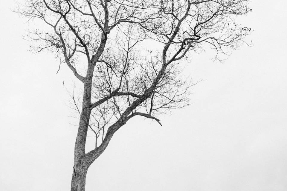 Nessa K Photography