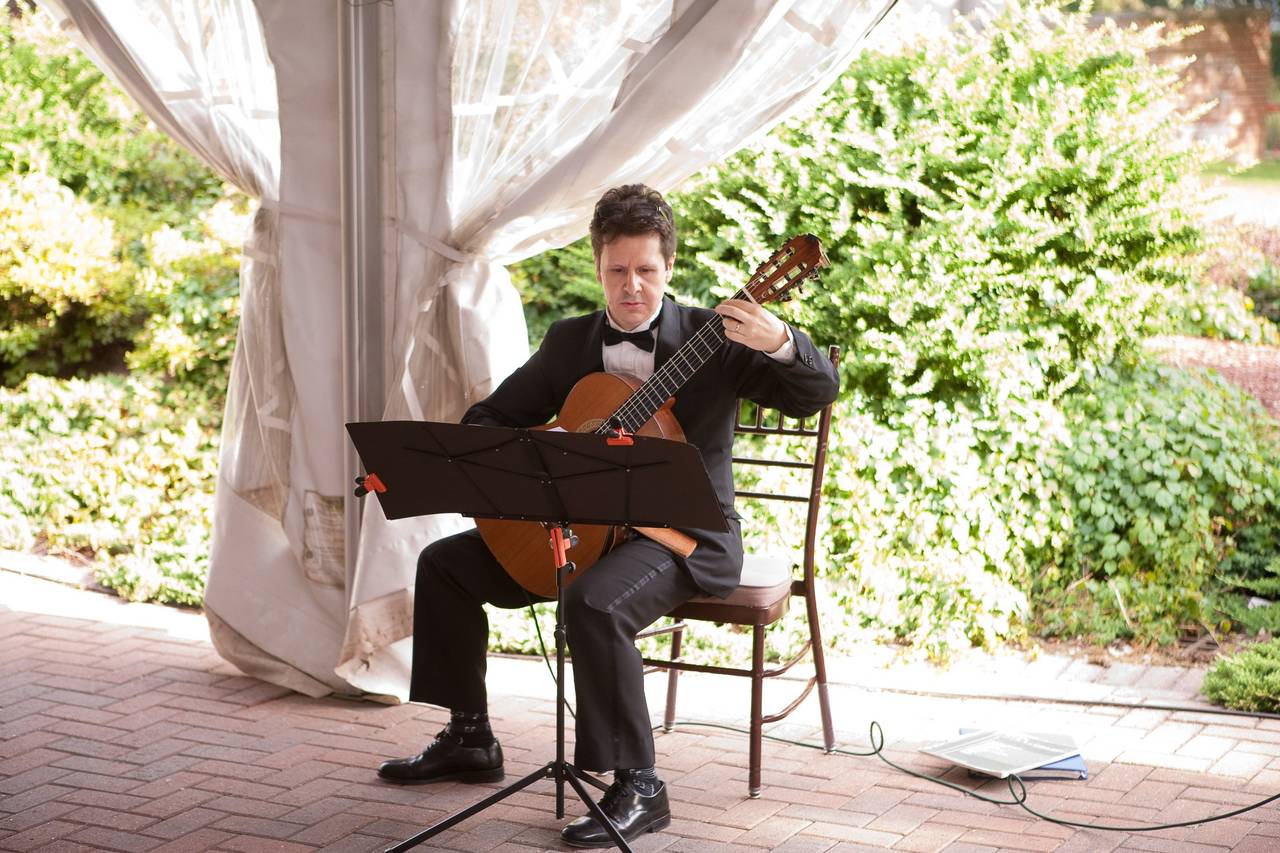 Debbie Vinick, Harpist - Ceremony Music - Manchester, CT - WeddingWire