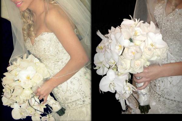 Pictorific Photography by Natalie Dawlatian