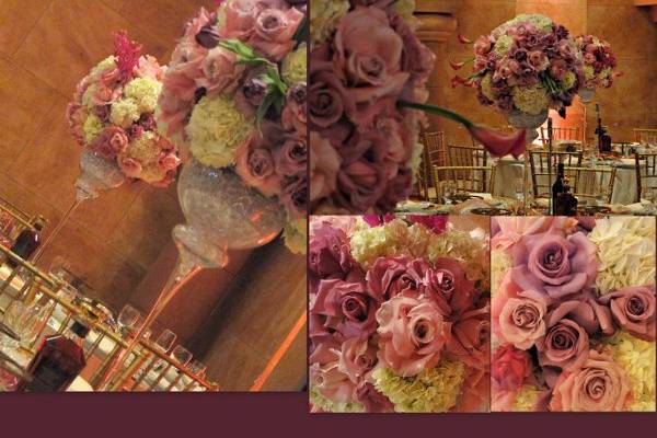 Pictorific Photography by Natalie Dawlatian
