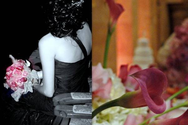 Pictorific Photography by Natalie Dawlatian
