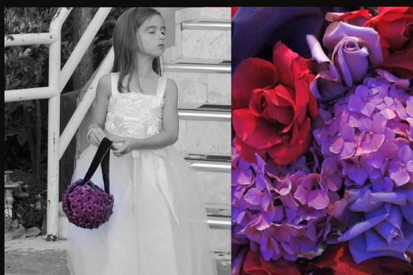 Pictorific Photography by Natalie Dawlatian