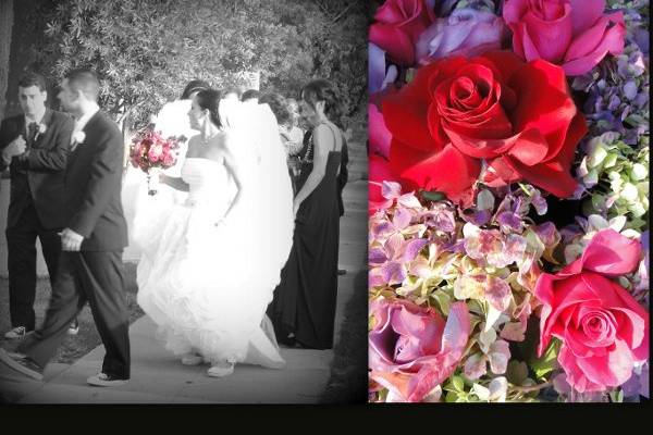 Pictorific Photography by Natalie Dawlatian
