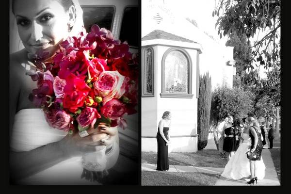 Pictorific Photography by Natalie Dawlatian