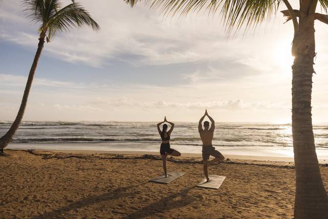 Wellness Activities