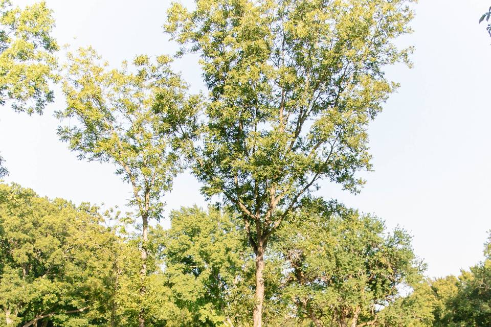 Sage Griswold Photography