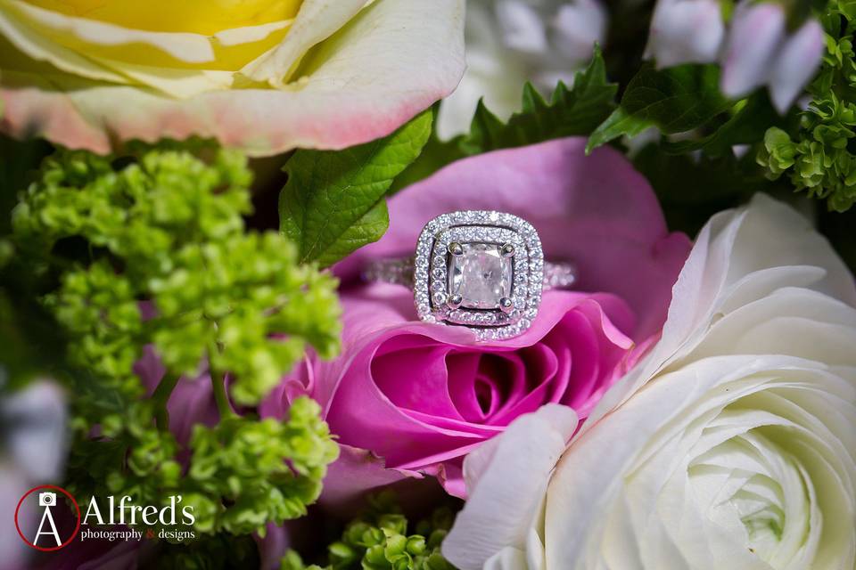 Alfreds Photography and Designs