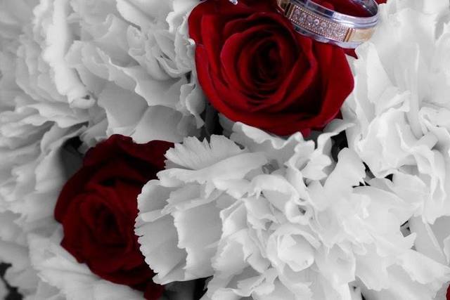 Heartfelt Photography