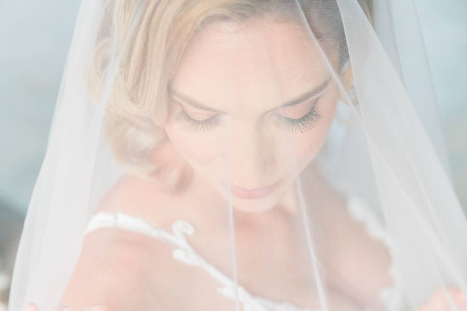 Blush Veil