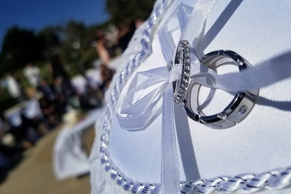 The Audience and the Ring
