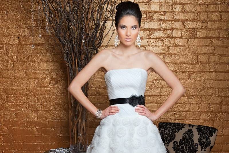 HeidiTulle.  Aline cocktail gown.  Strapless, asymmetrically draped dropped waist bodice.  Aline skirt is accented with three dimensional organza ribbon detail.
