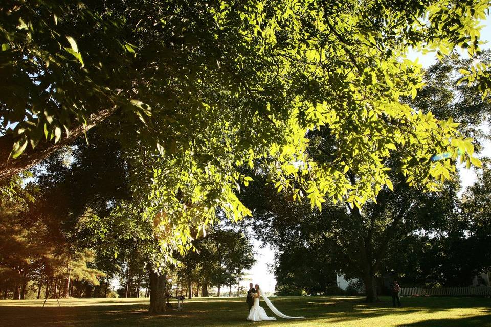 Little White Dress Visuals