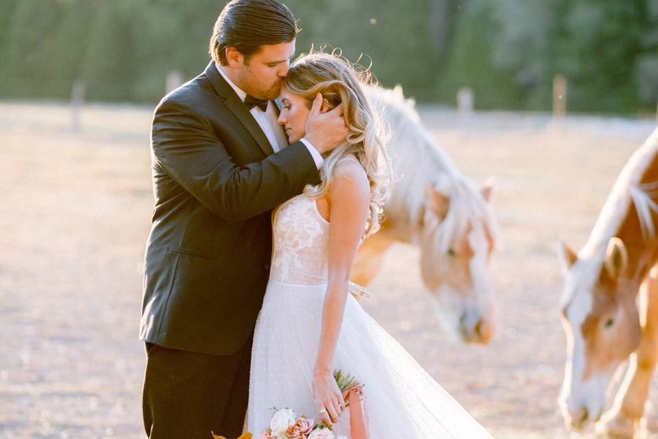 Greenhorn Ranch Wedding