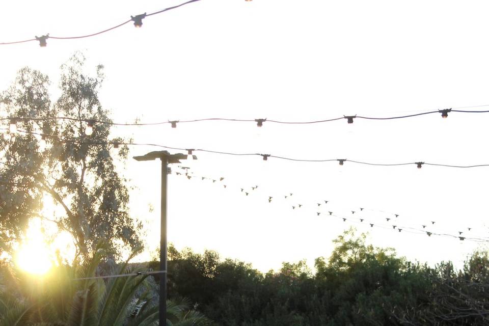 Wedding at Lotus House