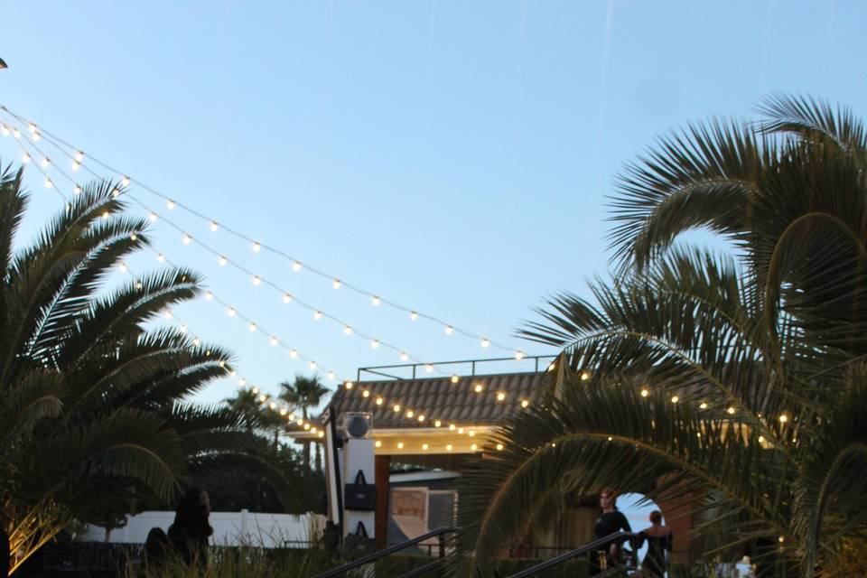 Wedding at Lotus House