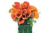 Bayside Florist