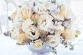 Bayside Florist