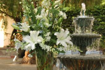 My Wedding Blooms