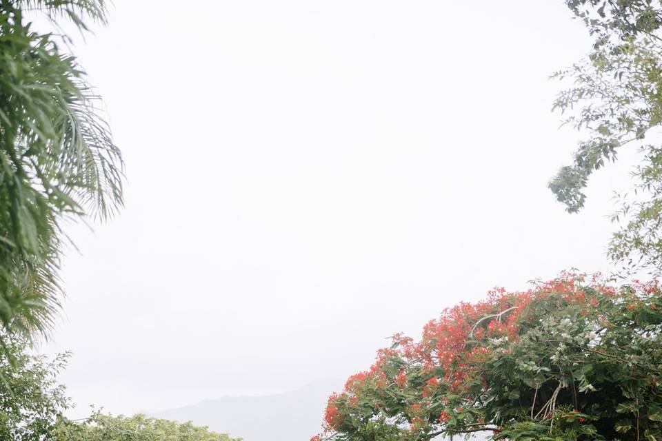 Award-Winning Wedding Planners