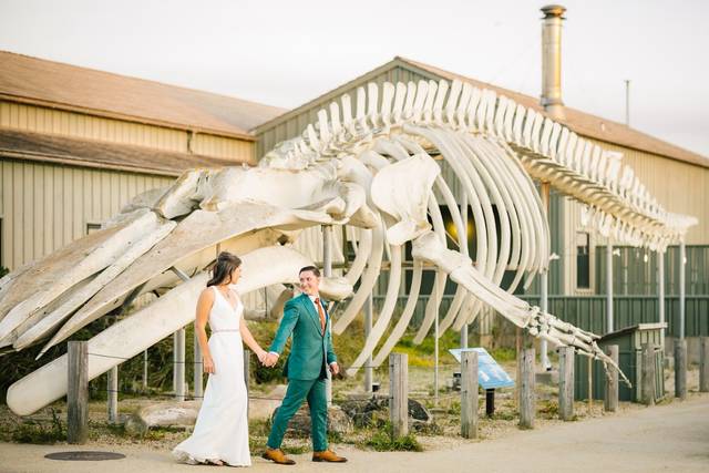 Seymour Marine Discovery Center Venue Santa Cruz CA WeddingWire