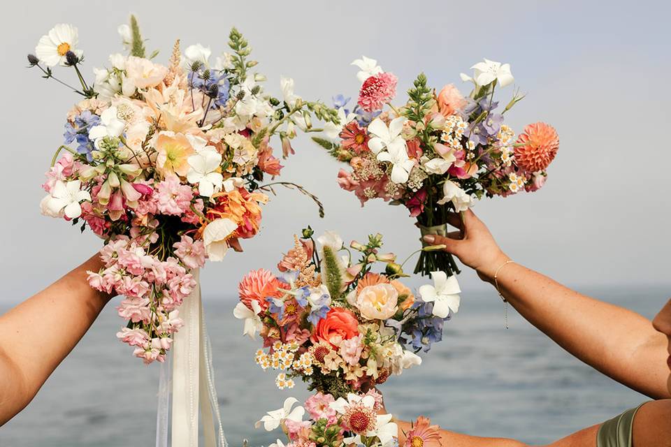 Catie Kim Photography