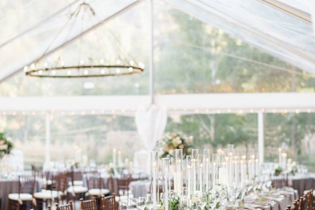 Tracie Domino Events