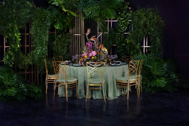 Tropical Delight