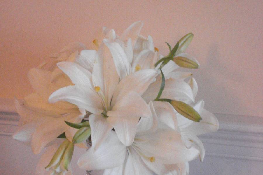 The Elegant Flower