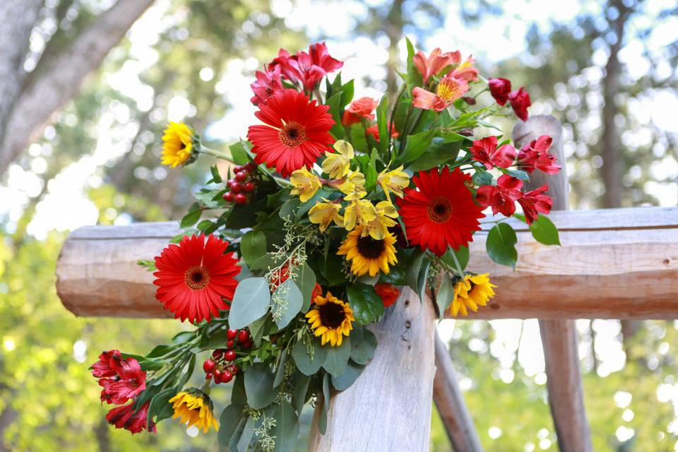 Sunflowers and reds