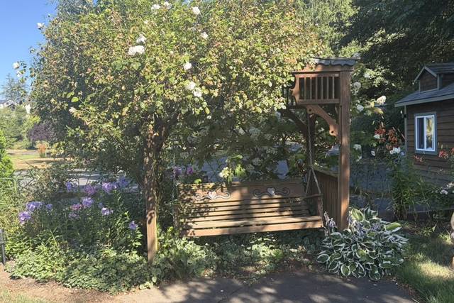 Rose Swing