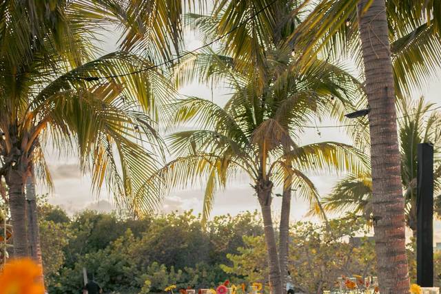 The Planning Weddings