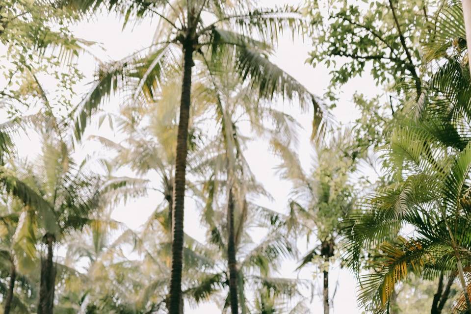 Boho theme