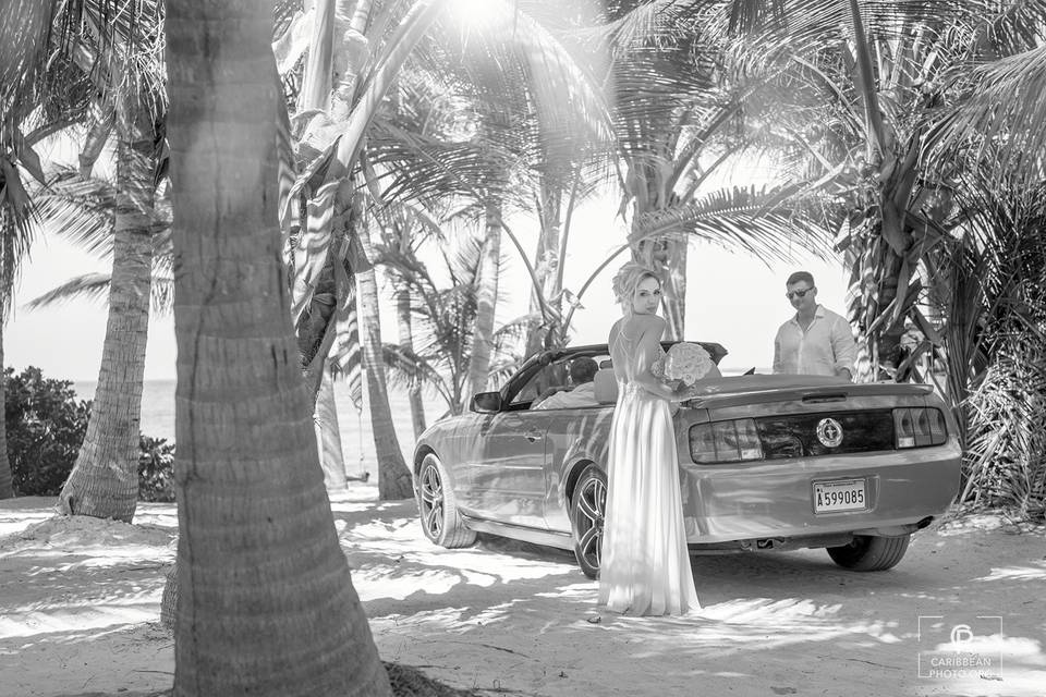 Wedding on private beach