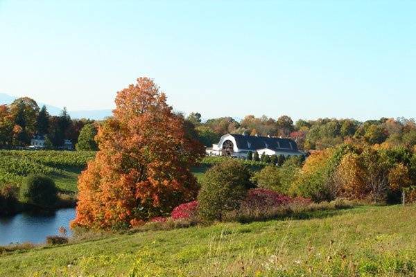 Idyllic location