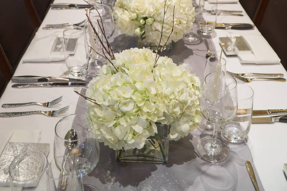 White hydrangea dream