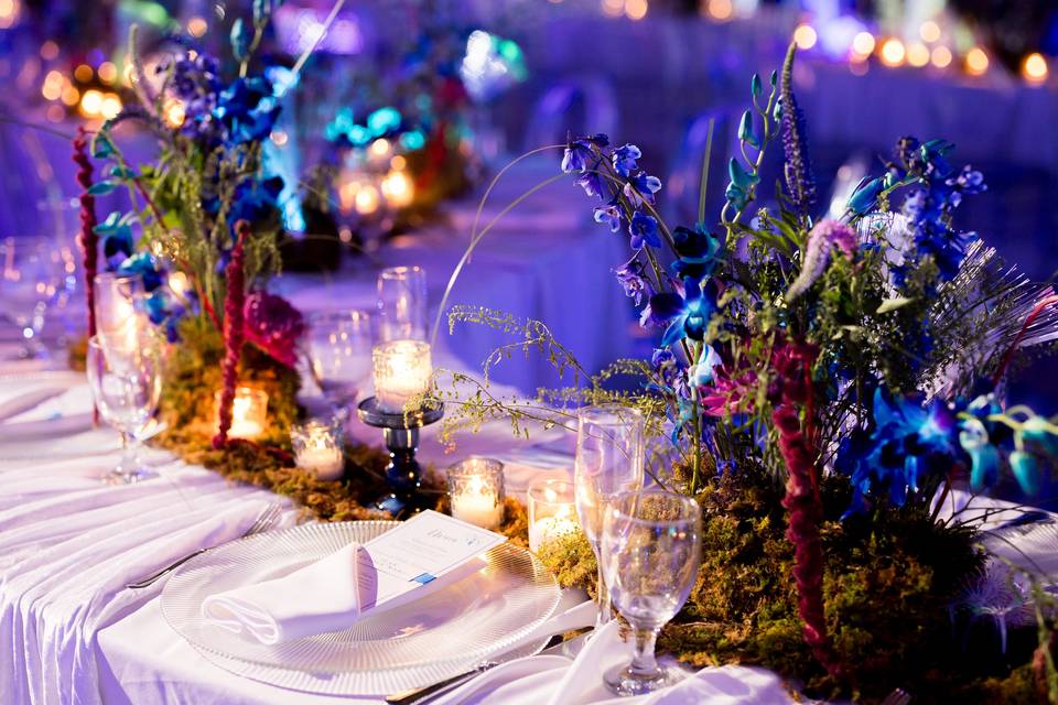 Whimsical Forest Theme