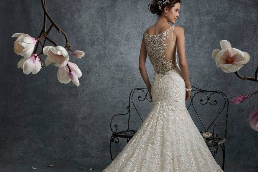 TESI Bridal & Formal