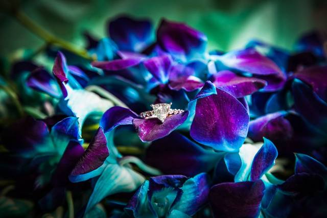 Angelic Edge Photography