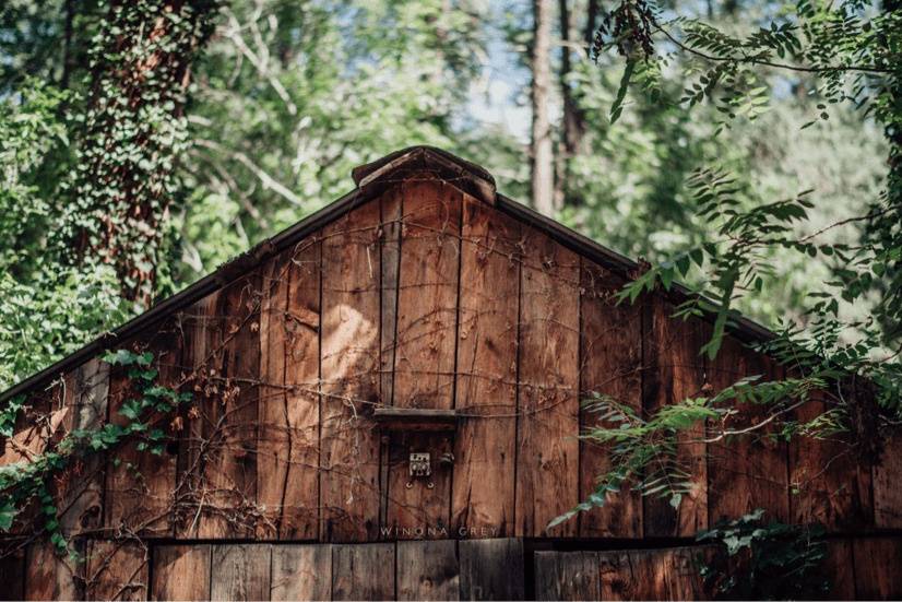 Don Hoel's Cabins