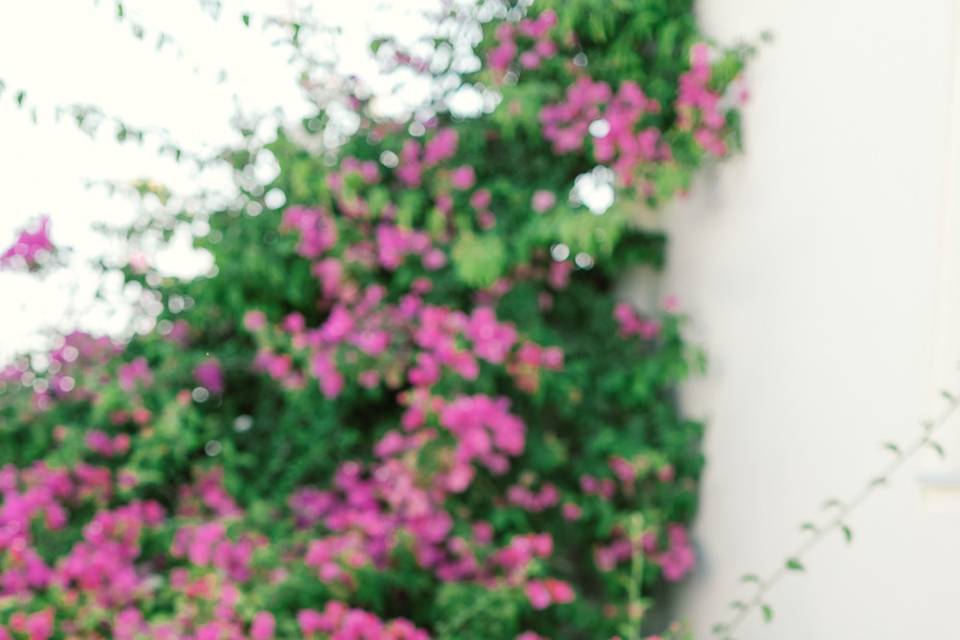 Olga Creative Photography