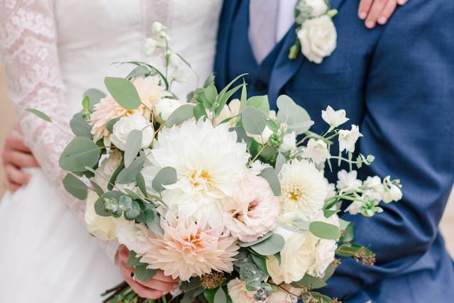 Alison Mish Photography