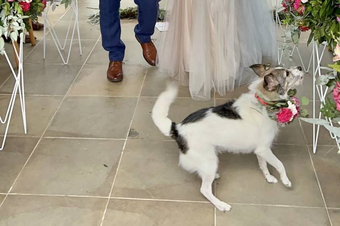 Hanna & Alex's wedding