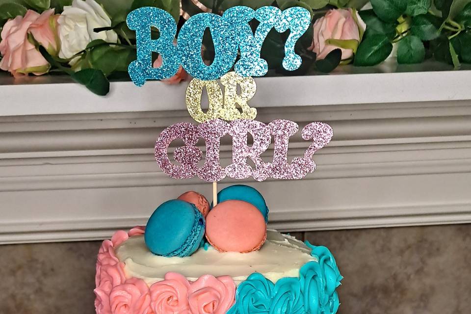 Gender Reveal Cake and Cupcake