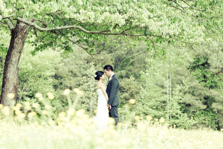 Under the old oak tree