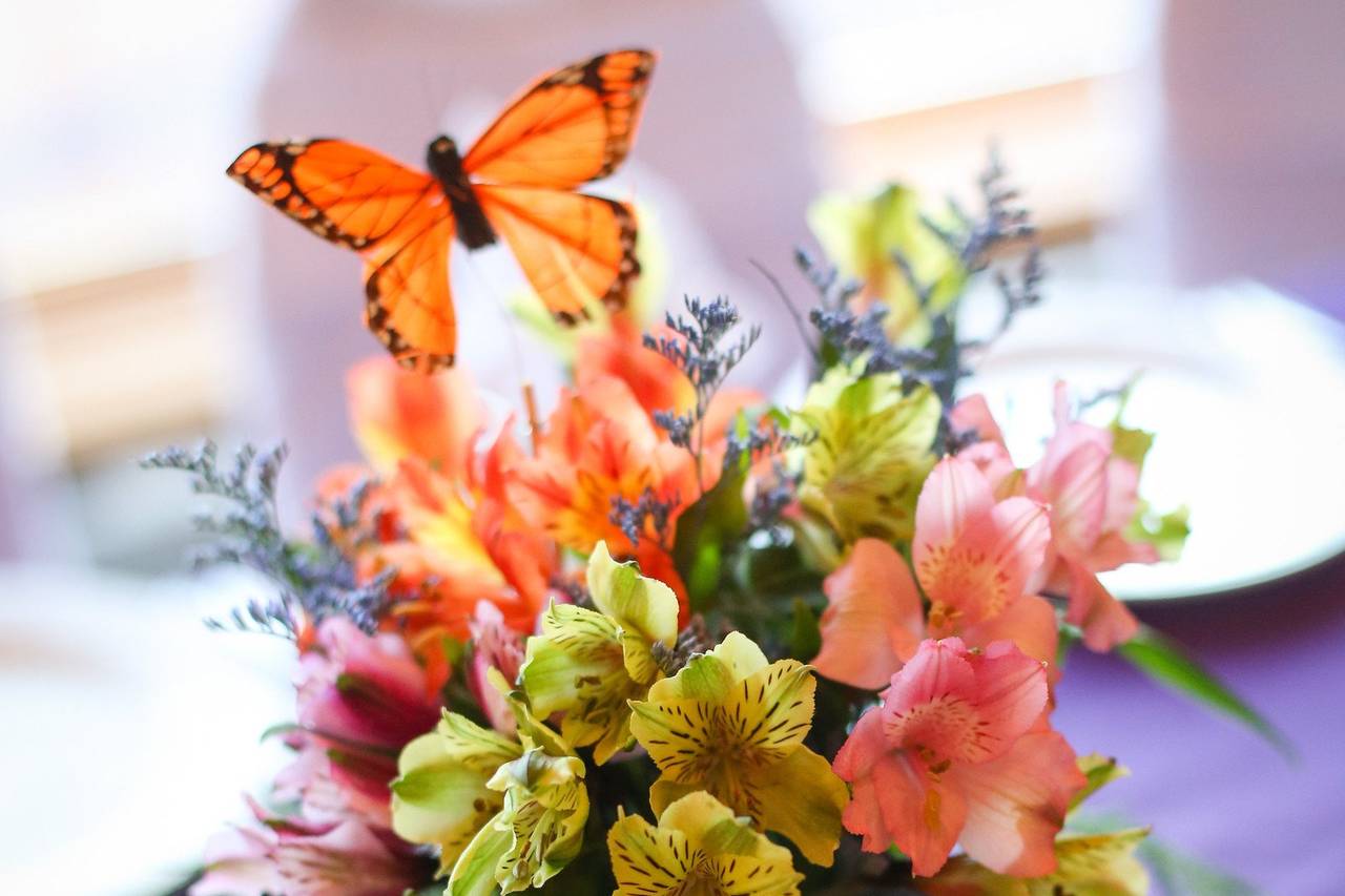 North Country Flowers - Flowers - Greenwich, NY - WeddingWire
