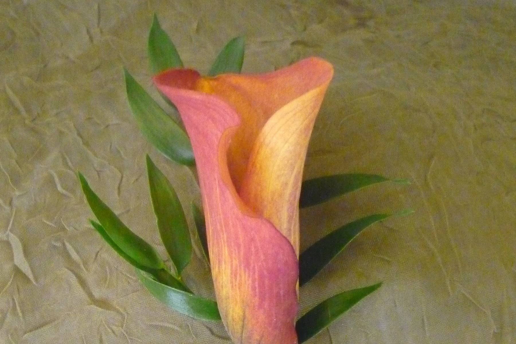 North Country Flowers - Flowers - Greenwich, NY - WeddingWire